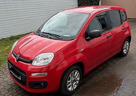 Fiat New Panda 1.2 69PS*AllwetterR*Einparkhilfe*Klima