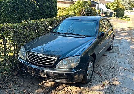 Mercedes-Benz S 320 gebraucht kaufen Mercedes-Benz S 320 Leder Xenon Memory GSD TÜV 04/2026
