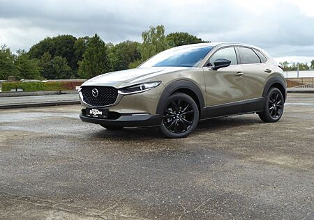 Mazda CX-30 e-SKYACTIV-G M-Hybrid 140 Homura AT