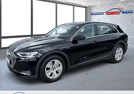 Audi e-tron Basis Quattro 1Gang Automatik Klima Navi