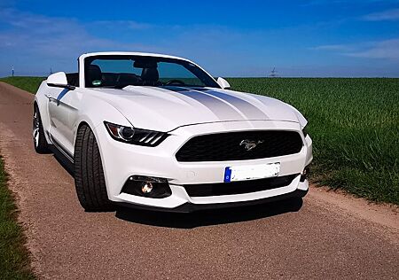 Ford Mustang 2.3 EcoBoost - EU - BBK - 20 Zoll - KW V3