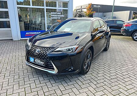 Lexus UX 250H