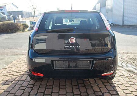 Fiat Punto More