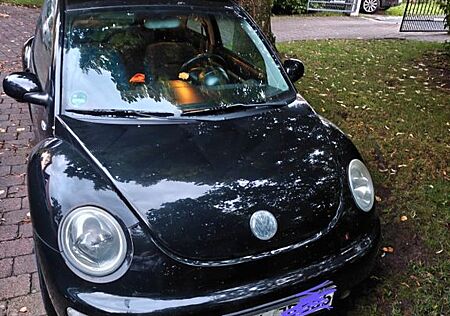 VW Beetle Volkswagen