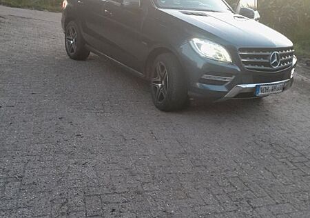 Mercedes-Benz ML 250 BlueTEC 4MATIC -