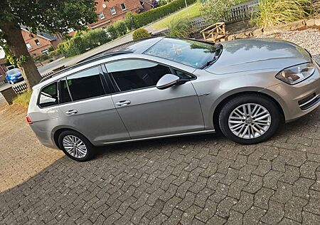 VW Golf Volkswagen 1.6 BlueTDI Comfortline Variant Comfortline