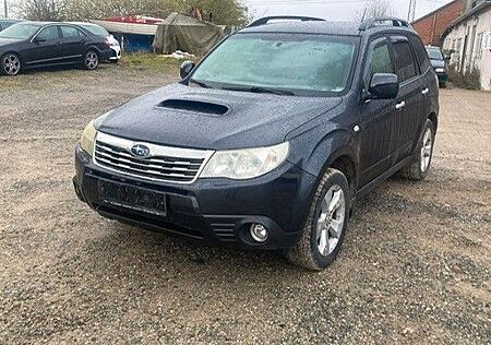 Subaru Forester Active