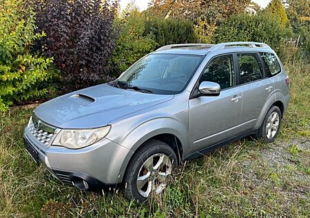 Subaru Forester 2.0D
