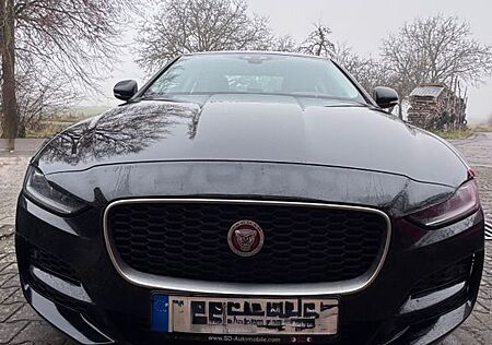 Jaguar XE P250 SE SE