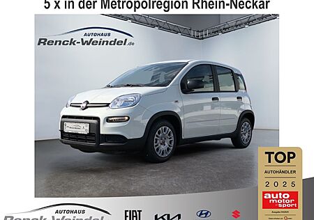 Fiat Panda 1.0 GSE Klima PDC DAB Radio Berganfahrass.