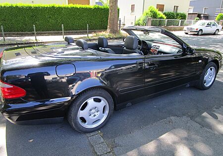 Mercedes-Benz CLK 200 Cabrio Vollleder 1. Hand 65t km ROSTFREI
