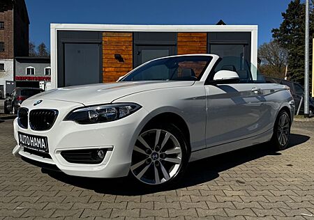 BMW 218i Cabrio *NAVI*SHZ*LEDER*PDC*ALPIN*GEPFLEGT*