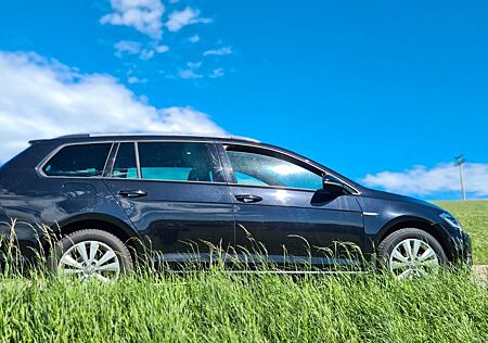 VW Golf Volkswagen 1.4 TGI HYBRID Benzin/ Naturalgas/ Biogas