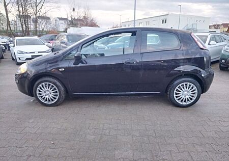 Fiat Punto EVO Active+TÜV/AU 02/2026 +KLIMA