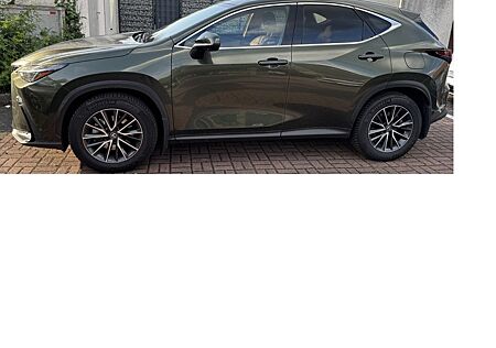 Lexus NX 350h *360° Kamera* Leder*Memory*MwSt*MY25