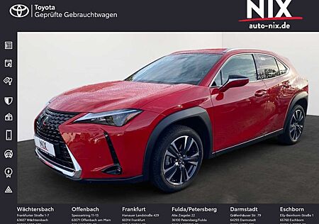 Lexus UX 250 h Style Edition KAMERA PDC KLIMA SHZ