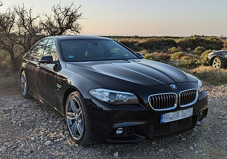 BMW 530d M-Sport TÜV Neu HUD/DA+/KS/DDC/AHK/Leder