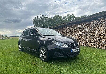 Seat Ibiza 1.4 16V Style Copa Top Ausstattung