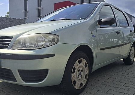 Fiat Punto 1.2 8V Active* 1. HAND*KLIMA*TOP TUSTAND*