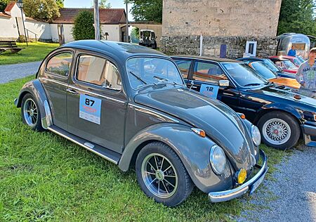 VW Käfer Volkswagen