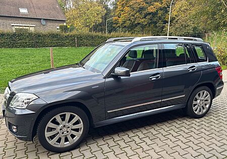 Mercedes-Benz GLK 220 CDI 4MATIC BlueEFFICIENCY -