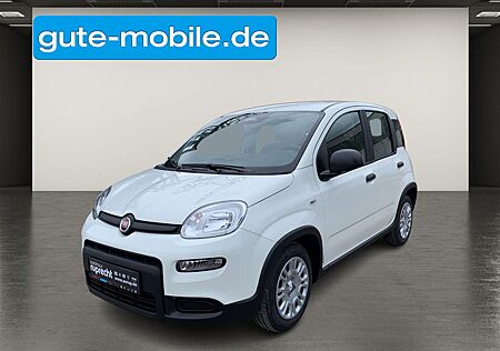 Fiat Panda Pandina Hybrid 1.0 GSECity-Paket|PDC|KLIMA