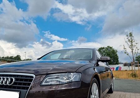 Audi A4 2.0 TDI Tüv Neu, SHZ,Pano Dach, Alcantara