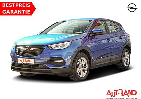 Opel Grandland X 1.5 CDTI Business LED Navi Kamera