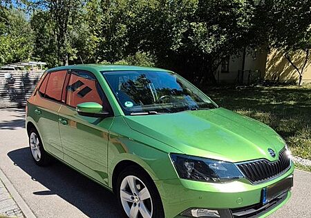 Skoda Fabia 1.2l TSI Joy Vollausstattung Top Zustand