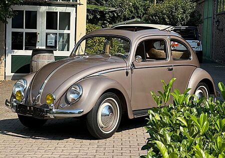 VW Käfer Volkswagen Ovali Faltdach aus der Hermann Walter Sammlung