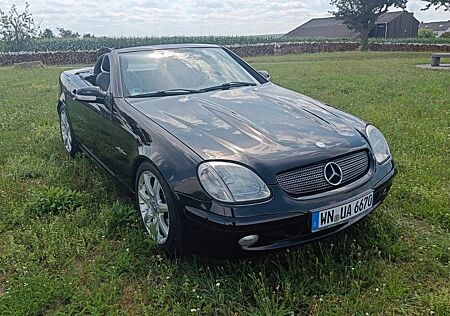 Mercedes-Benz SLK 320 "Special Edition" Special Edition