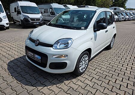 Fiat Panda | 5 Sitzer | Radio | PDC | Tempomat