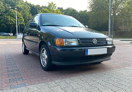 VW Polo Volkswagen Tip-Top: 1.4; Rostfrei