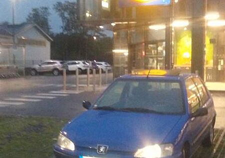 Peugeot 106 BESCHAEDIGT: (60PS/Long Beach/R/CD/SD/Alus)