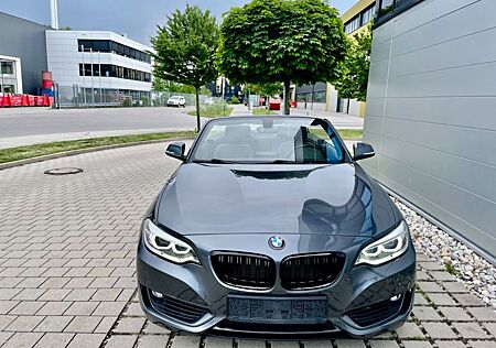 BMW 220d Cabrio Auto. Leder/Navi/Xenon/PDC