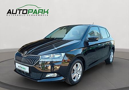 Skoda Fabia Ambition | Tempo | SHZ | Scheckh.