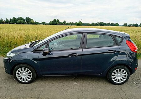 Ford Fiesta 1,25 Trend (82PS)