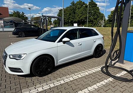 Audi A3 Sportback 1.6 TDI Weiß TÜV Neu