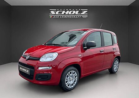 Fiat Panda MY25 Hybrid 1.0 GSE 51kw 70PS