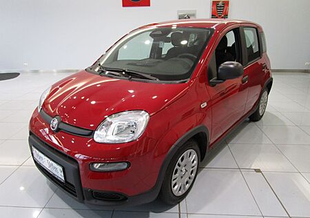 Fiat Panda Pandina 1.0 - Klima-Bluetooth-Tempomat-PDC