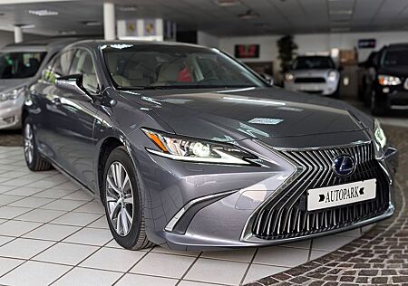 Lexus ES 300 ES 300H ACC Leder ESD Kamera 8-FACH