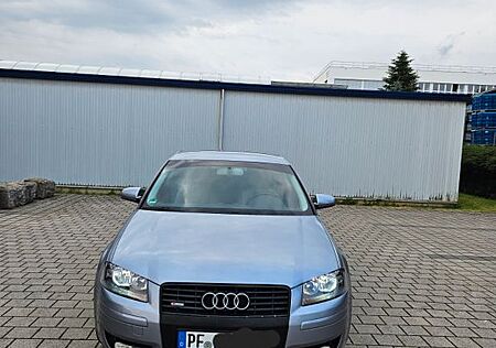 Audi A3 8p 1.6 LPG