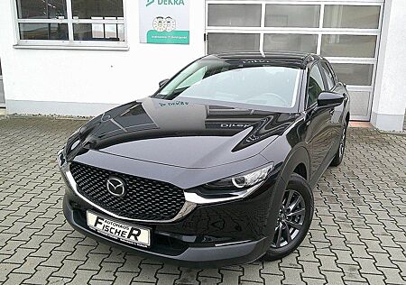 Mazda CX-30 SKYACTIV 122 AHK/NAVI/HUD/KLIMA