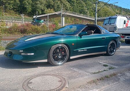 Pontiac Trans Am 5.7 V8 Targa H Zulassung TÜV