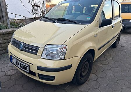 Fiat Panda 1.2 Benzin - TÜV Neu