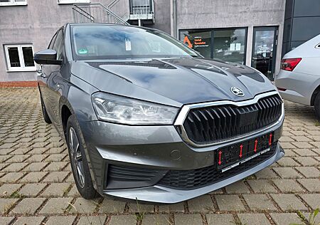 Skoda Fabia Rückfahrkamera AHK Vorbereitung Tempomat