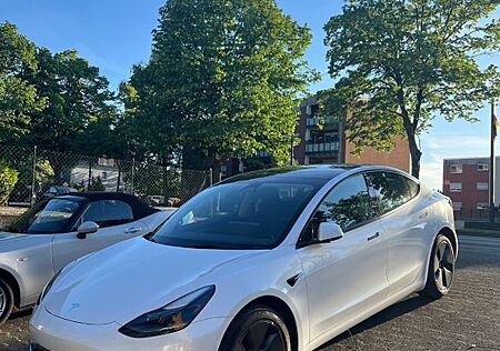 Tesla Model 3 Standard-Reichweite Plus - Hinterrad
