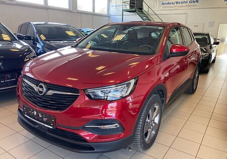 Opel Grandland X Grandland (X) Edition KAMERA AHK SHZ VZ SH NAVI