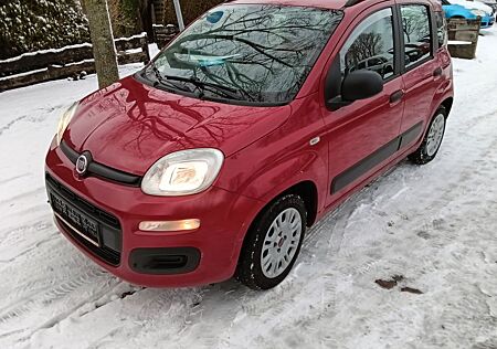 Fiat New Panda Panda 1.2 8V LOUNGE,AHK,Klima!