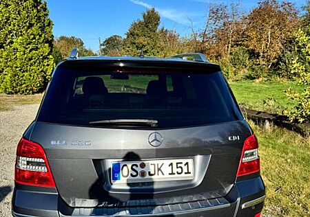 Mercedes-Benz GLK 220 CDI 4MATIC BlueEFFICIENCY -AHK